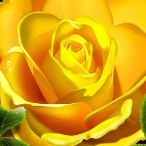 Meet your Posher, Willie